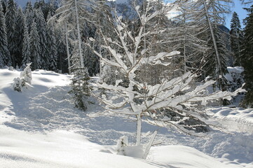 Le Dolomiti innevati senza turisti per i divieti di circolazione causa Covid-19.