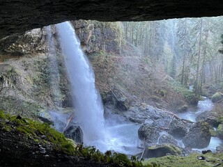 waterfall in the forest
