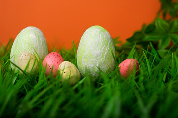  Easter chicken and quail eggs in meadow grass