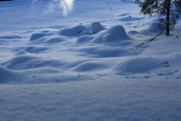 Obraz premium Il lago di Carezza ghiacciato sulle dolomiti