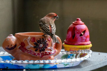 easter table setting