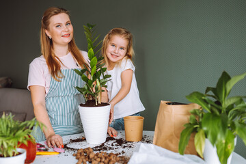 Family of young blonde woman and toddler girl transplant indoor plants at home. Mother and daughter spend time together, home gardening
