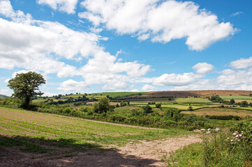 Fototapeta na wymiar Wye valley of Herefordshire, England, in the summertime.
