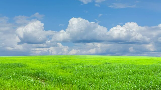 green rural field under a blue cloudy sky, countryside rural agricultural time lapse scene