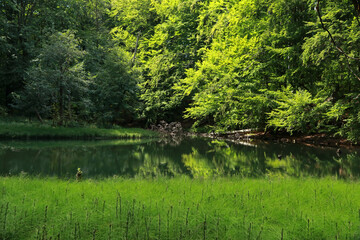 Duszatynskie lakes, mountain lakes in Bieszczady Mountains, Poland