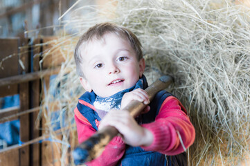 Enfant donne a manger aux vaches avec une fourche