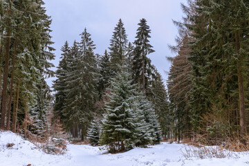 Am Nordrand des Thuueringer Waldes im Landkreis Gotha 