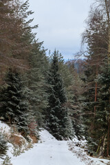 Am Nordrand des Thuueringer Waldes im Landkreis Gotha 