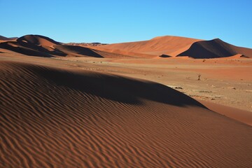 Fototapeta na wymiar Wüstenlandschaft auf dem Weg ins Hidden Vlei im Namib-Naukluft Nationalpark. 