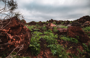 La magia de la lluvia © josedamian