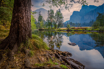 Trees by bank of Merced River at Yosemite National Park