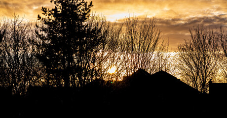 sunrise over the trees