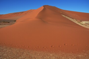 Fototapeta na wymiar Hidden Vlei im Namib-Naukluft Nationalpark in Namibia. 