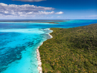 Fototapeta na wymiar Aerial drone view of the paradise coral shore with palm trees and blue water lagoon of Caribbean Sea, Saona island, Dominican Republic