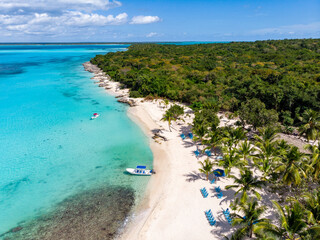 Fototapeta na wymiar Aerial drone view of the paradise beach with palm trees, boat and blue water of Caribbean Sea with coral bottom, Saona island, Dominican Republic