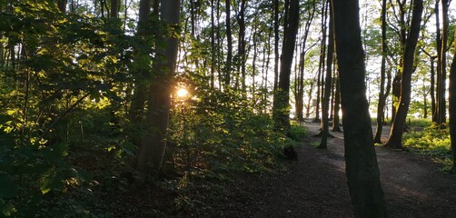 Fototapeta premium Landschaft