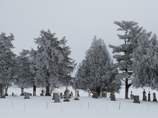 Cemetery in winter