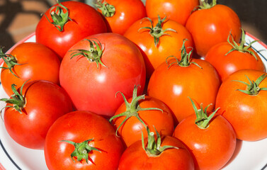 TOMATES ROJOS
