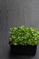 Fresh cress salad on grey stonebackground