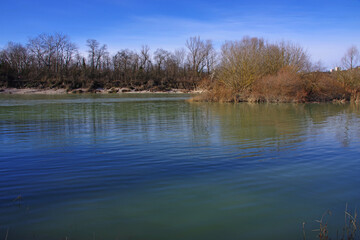 Au bord du Vieux Rhône