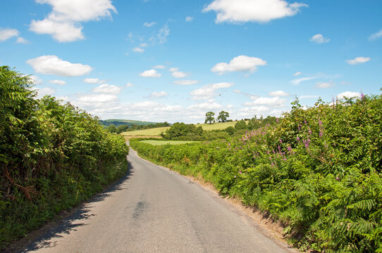 Summertime Near Hergest Ridge