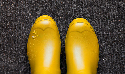 Gummistiefel gelb auf Fu&szlig;matte