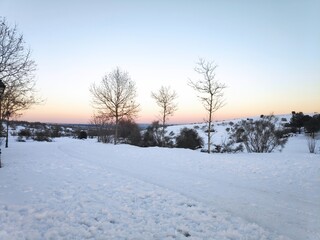 winter landscape with snow