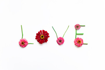 Word LOVE made of bright colourful zinnia flowers isolated on white background