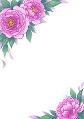Elegant  Vector Background with Peony Flowers