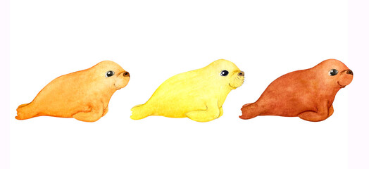 Three baby walrus of different colors. Watercolor illustration isolated on white background. For childish design.