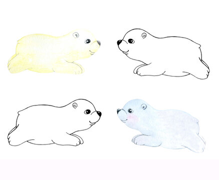 White polar bear cub. Cartoon character isolated on white. Coloring book. For children's creativity and design.