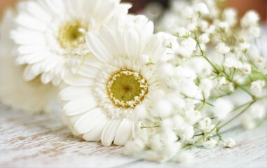 Obraz premium white chamomile flowers on a wooden old table