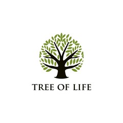 Obraz premium Tree of Life Logo Design