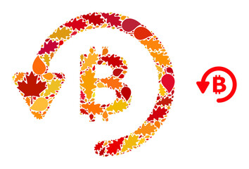 Bitcoin Refund mosaic icon organized for fall season. Vector bitcoin refund mosaic is constructed of random autumn maple and oak leaves. Mosaic autumn leaves in bright gold, brown and red colors.