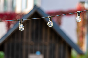 Fototapeta premium decorative light bulbs isolated on defocused background