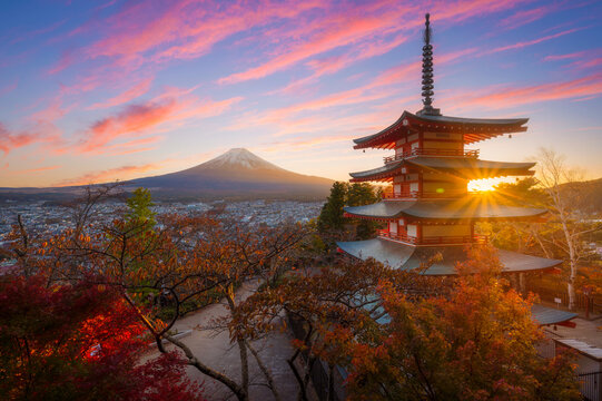 Beautiful Autumn scenery of Red pagoda Chureito the famous tourist attraction in fujinomiya town and Mount Fuji at sunset in Yamanashi prefecture, Japan