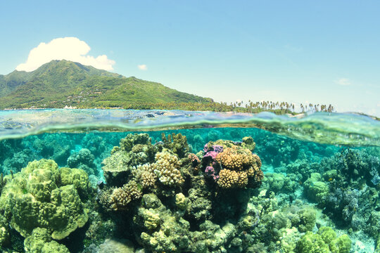 Lagon bleu turquoise de moorea - Polynesie Francaise - photo mi air mi eau