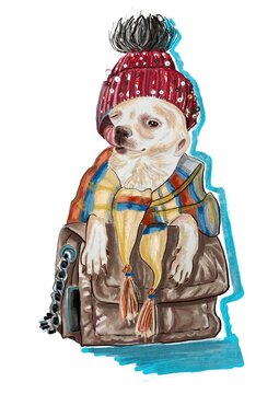 Hand-drawn stylized illustration of a beige Chihuahua puppy in a fashion outfit: in a chunky knit red hat with pompom and scarf, with a crossbody bag on a white background. Gift postcard for dog lover
