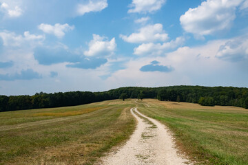 Fototapeta na wymiar Traktorweg in Wiesenlandschaft