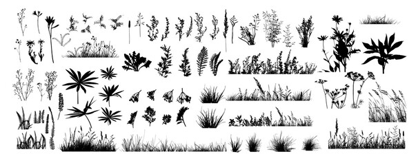 The silhouette of the grass set. Vector illustration - obrazy, fototapety, plakaty