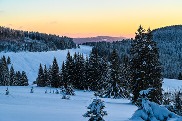 Winterlandschaft in der Abendstimmung 