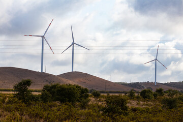 Obraz premium Rural landscape with some Windmills for electric power production in Alentejo.