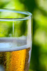 close-up of glass of fresh and cold beer on green background 