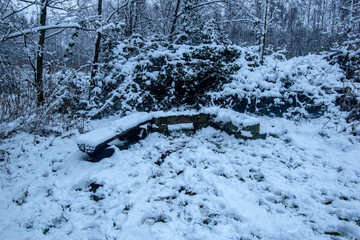 snow covered bench in forest