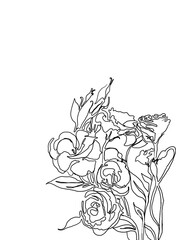 Linear drawing of a bouquet of eustomas. Close-up, the composition is shifted to the bottom corner. Postcard with space for text. Outline drawing on a white background.