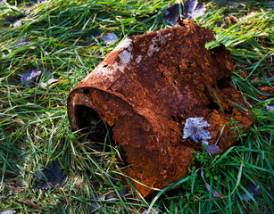 Pollution in the outdoors. Environmental issues