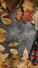 Autumn flat lay composition for product photography