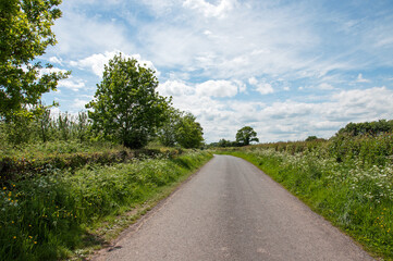 Summertime road to the countryside