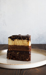 Piece of multilayered chocolate and vanilla cream cake close up