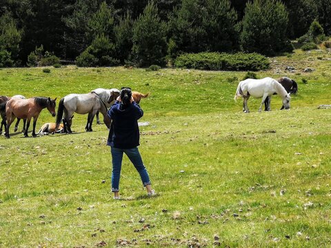 woman looking at horses in the mountains in Navacerrada